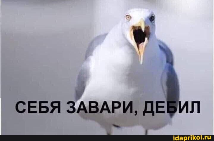 СЕБЯ ЗАВАРИ,