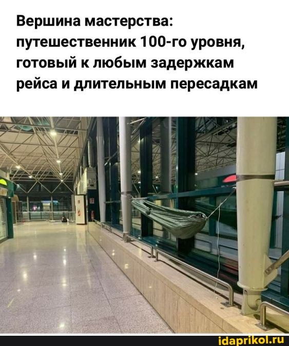 Вершина мастерства: путешественник 100-го уровня, готовый к любым задержкам рейса и длительным пересадкам