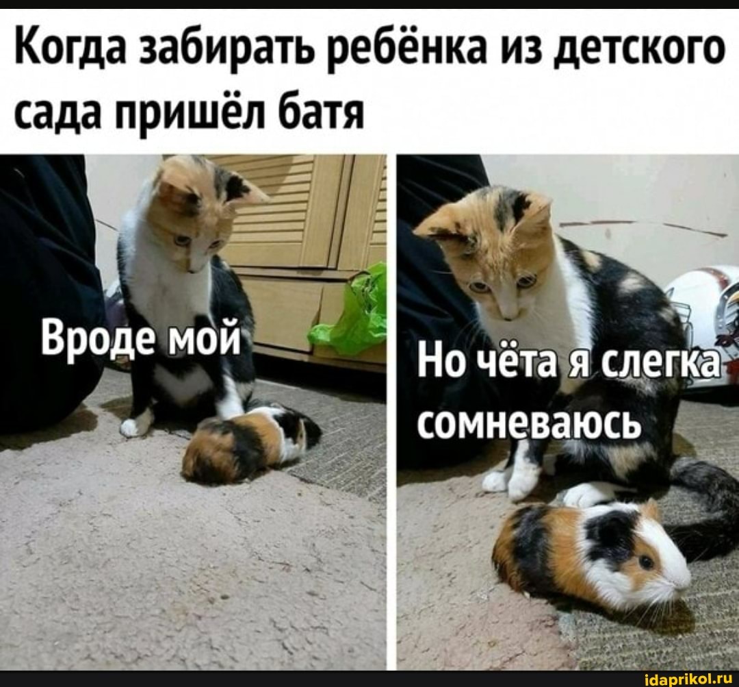 Когда забирать ребёнка из детского сада пришёл батя
Вроде мой
Но чёта слегка
сомневаюсь