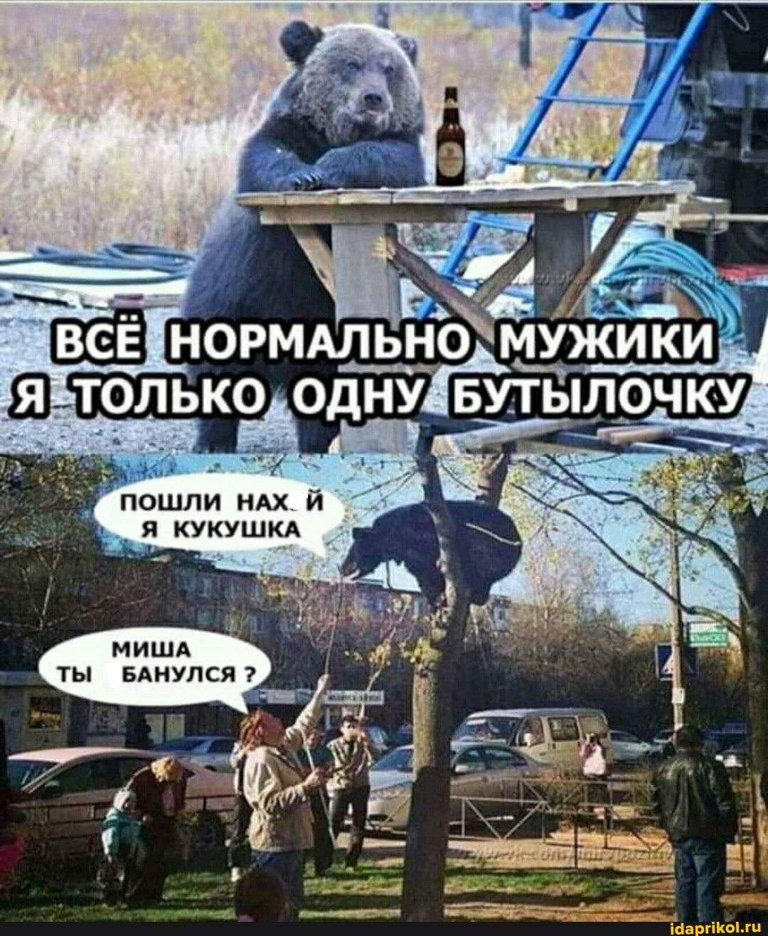 ВСЕ НОРМАЛЬНО МУЖИКИ Я ТОЛЬКО ОДНУ БУТЫЛОЧКУ
"пошли
КУКУШКА
ТЫ