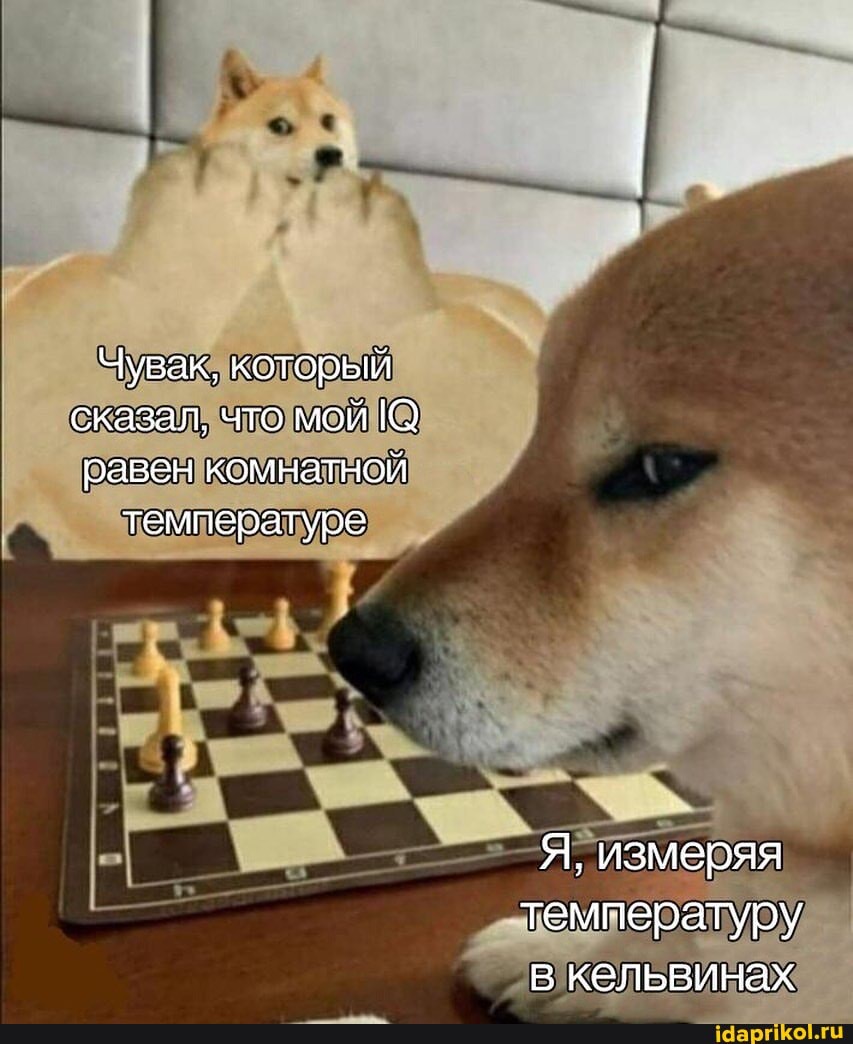 Чувак, который сказал, что мой
равен ком
натной
температуре
Я, измеряя
температуру в кельвинах