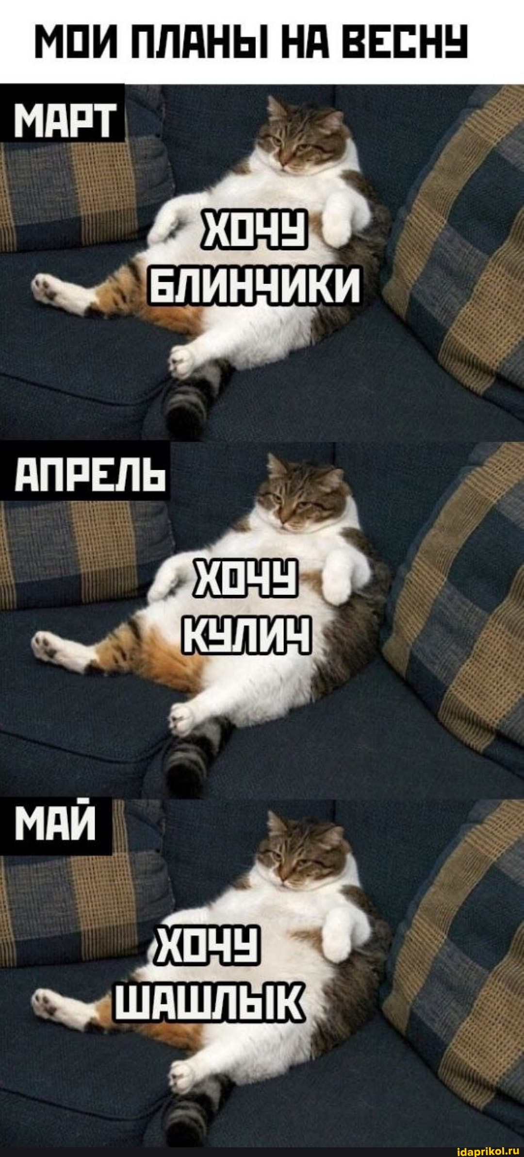 МОИ ПЛАНЫ НА ВЕСНУ
МАРТ
ХОЧУ)
БЛИНЧИКИ
АПРЕЛЬ
МАЙ