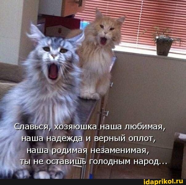 Славься, хозяюшка наша любимая,
Наша надежда и верный оплот, наша родимая незаменимая,
ты не голодным народ...