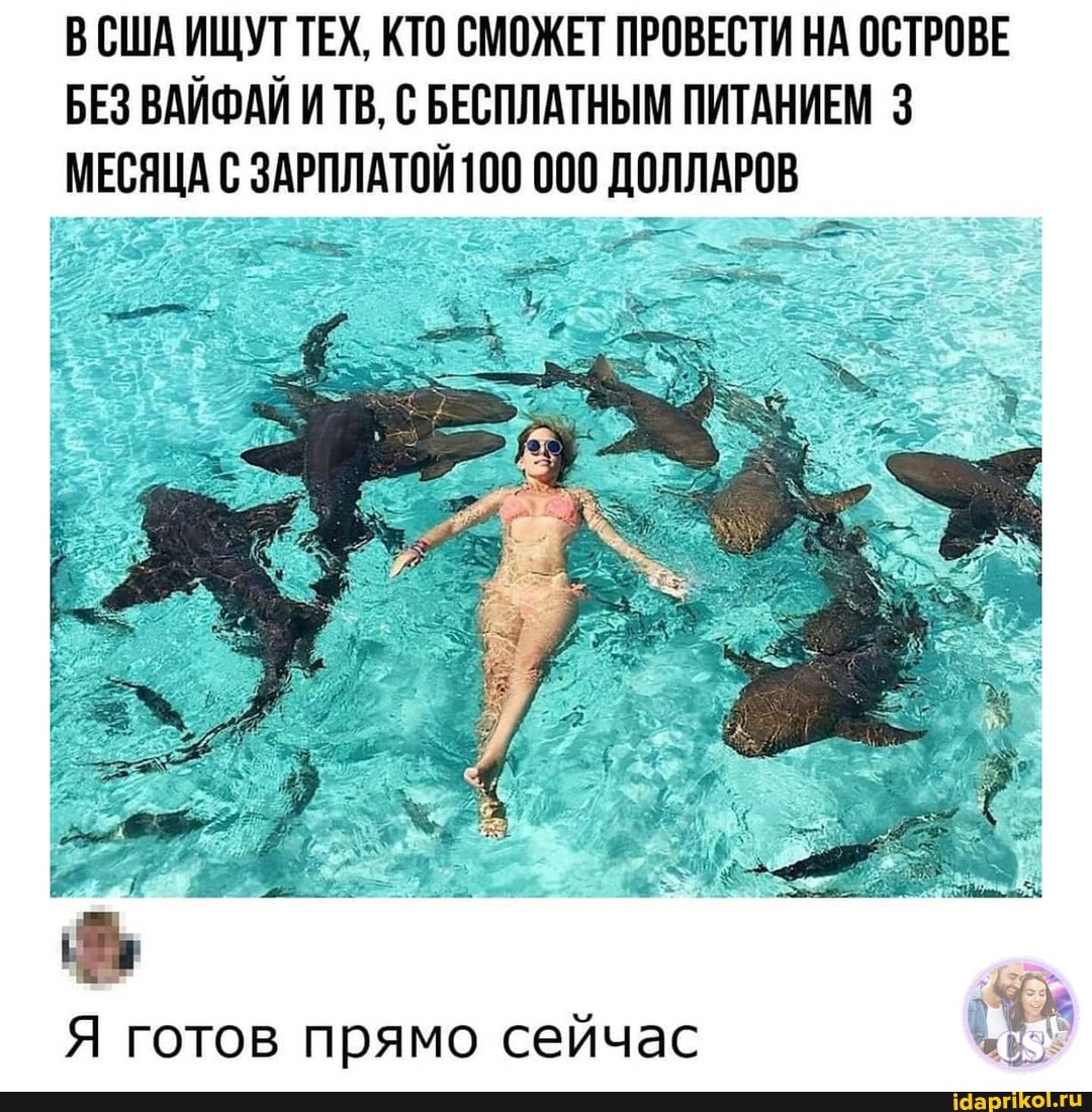 ВСША ИЩУТ ТЕХ, КТО СМОЖЕТ ПРОВЕСТИ НА ОСТРОВЕ БЕЗ ВАЙФАЙ И ТВ, С БЕСПЛАТНЫМ ПИТАНИЕМ 3
МЕСЯЦА ЗАРПЛАТОЙ 10 000 ДОЛЛАРОВ
Я готов прямо сейчас