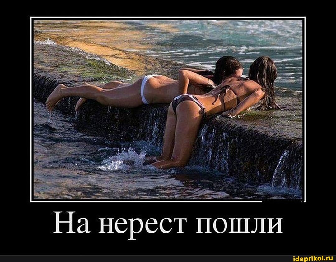 На нерест пошли