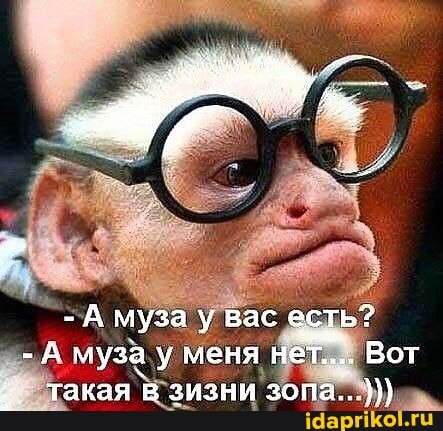 -А муза у вас есть?
- муза у меня нет... Вот такая в зизни зопа..