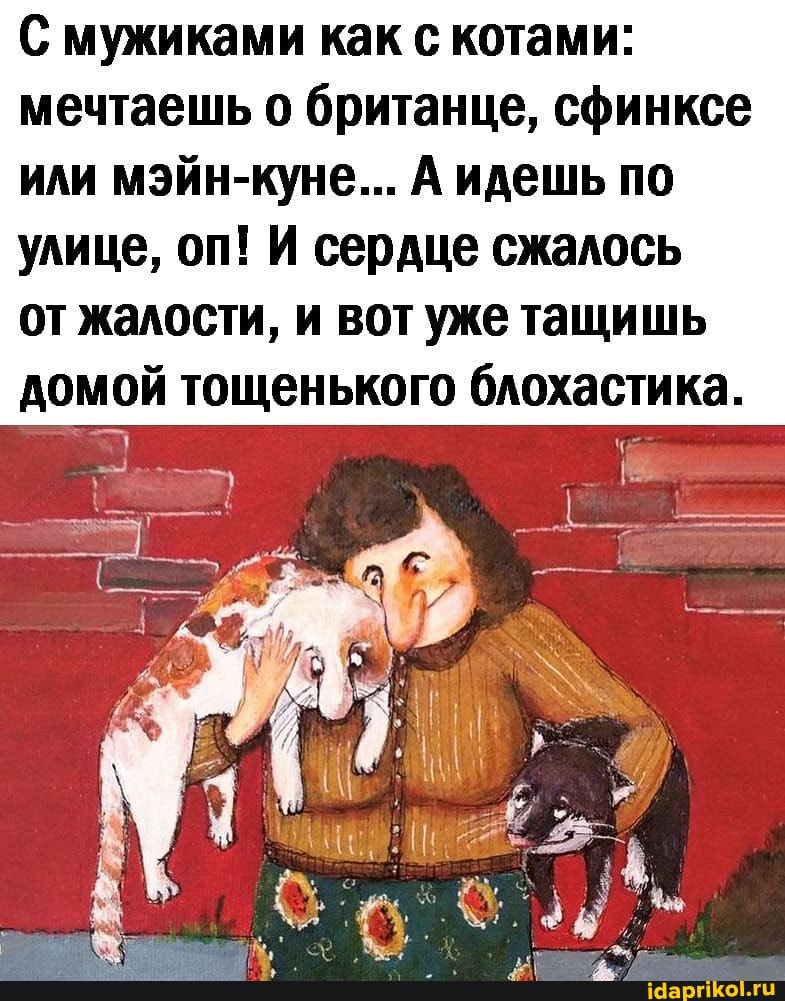 С мужиками как с котами: мечтаешь о британце, сфинксе
или мэйн-куне... А идешь по улице, оп! И сердце сжалось от жалости, и вот уже тащишь
домой тощенького блохастика.