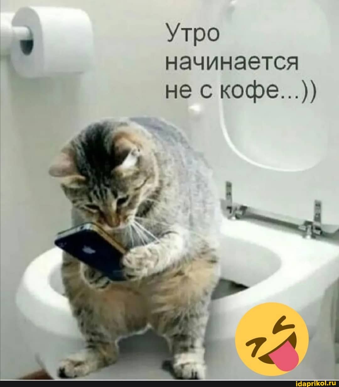 Утро начинается не скофе...))