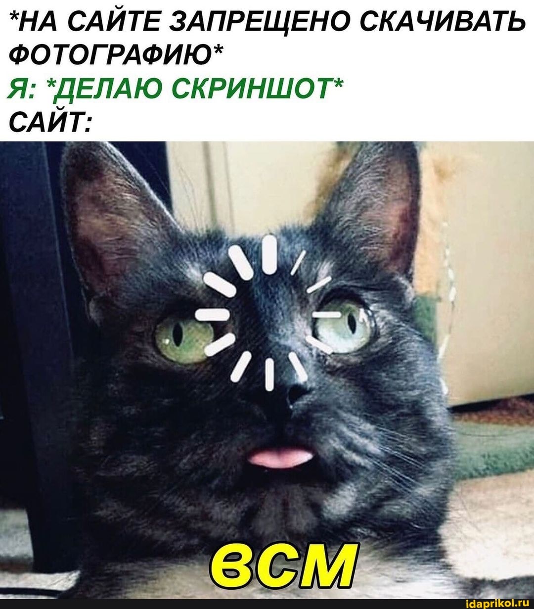*НА САЙТЕ ЗАПРЕЩЕНО СКАЧИВАТЬ ФОТОГРАФИЮ*
Я: *ДЕЛАЮ СКРИНШОТ*
САЙТ: