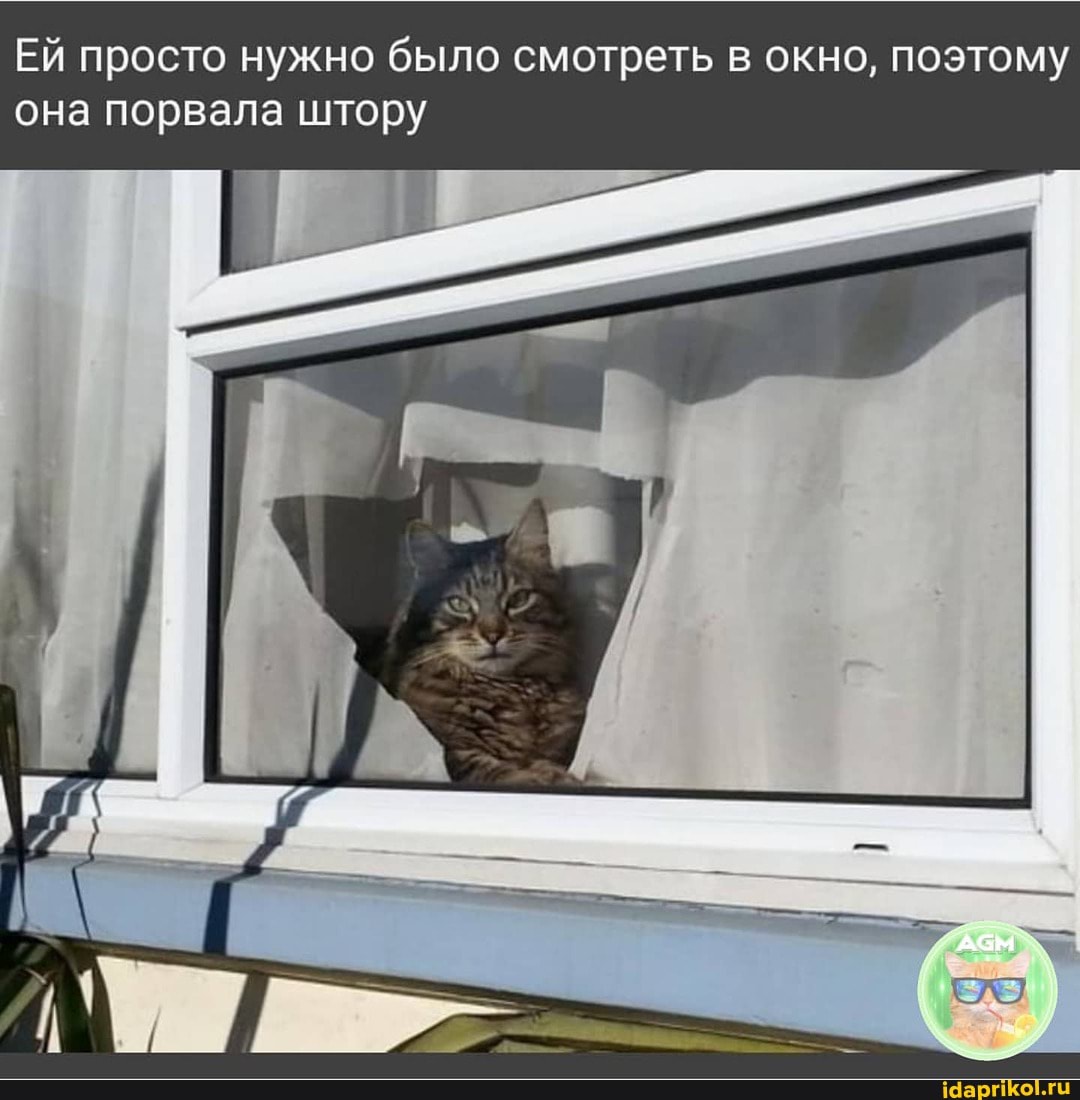 Ей просто нужно было смотреть в окно, поэтому она порвала штору