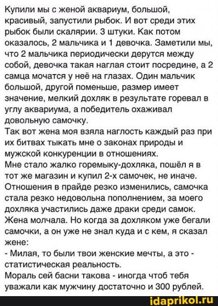 Купили мы с женой аквариум, большой, красивый, запустили рыбок. И вот среди этих
'рыбок были скалярии. 3 штуки. Как потом оказалось, 2 мальчика и 1 девочка. Заметили мы, что 2 мальчика периодически дерутся между собой, девочка такая наглая стоит посредине, самца мочатся у неё на глазах. Один мальчик большой, другой поменьше, размер имеет значение, мелкий дохляк в результате горевал в углу аквариума, а победитель охаживал довольную самочку.
Так вот жена моя взяла наглость каждый раз при их битвах тыкать мне о законах природы и мужской конкуренции в отношениях.
Мне стало жалко горемыку-дохляка, пошёл яв тот же магазин и купил самочек, не иначе.
Отношения в прайде резко изменились, самочка стала резко недовольна пополнением, за моего дохляка участились даже драки среди самок.
Жена молчала. Но когда за дохляком уже бегали самочки, а он уже не знал куда и с кем, я сказал жене:
- Милая, то были твои женские мечты, а это - статистическая реальность.
Мораль сей басни такова - иногда чтоб тебя уважали как мужчину достаточно и 300 рублей.