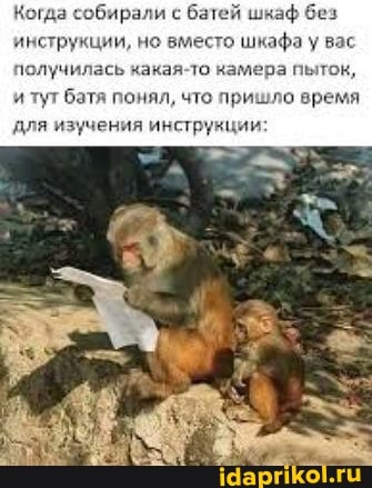 Когда собирали с батей шкаф без инструкции, но вместо шкафа у вас
получилась какая-то камера пыток, и тут батя понял, что пришло время
для изучения инструкции:
