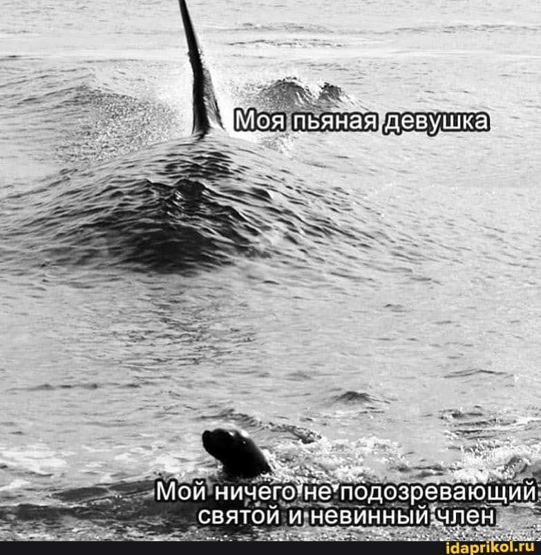 пьяная. девушка!
Мой подозрева! святой и невинный 'член