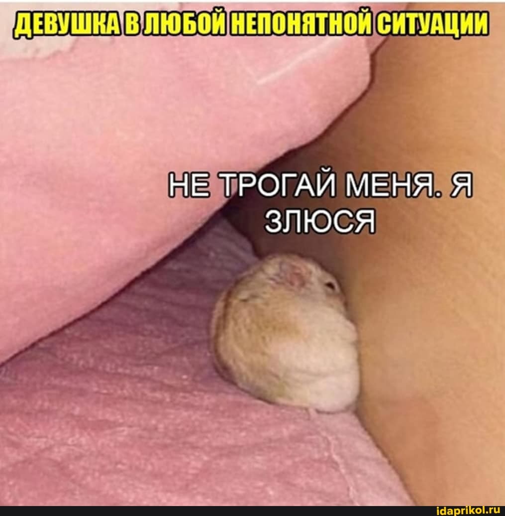 ДЕВУШКА В ЛЮБОЙ НЕПОНЯТНОЙ СИТУАЦИИ
НЕ ТРОГАЙ МЕНЯ.