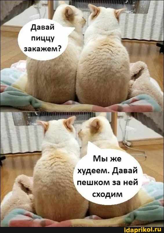 Давай
пиццу закажем?
Мы же худеем. Давай
за