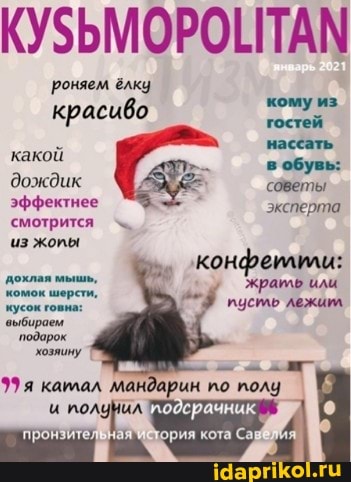 КУЗЬМОРОНТАМ
роняем ёлку красиво кому из
красиво
нассать какой в обувь: дождик советы эффектнее эксперта смотрится из жопы
' конфеилили: жрать или пусть лежит
доклая мышь, комок шерсти, кусок говна: выбираем
`подарок
хозяину
я каилал мандарин по полу
и одерачник
ория кота