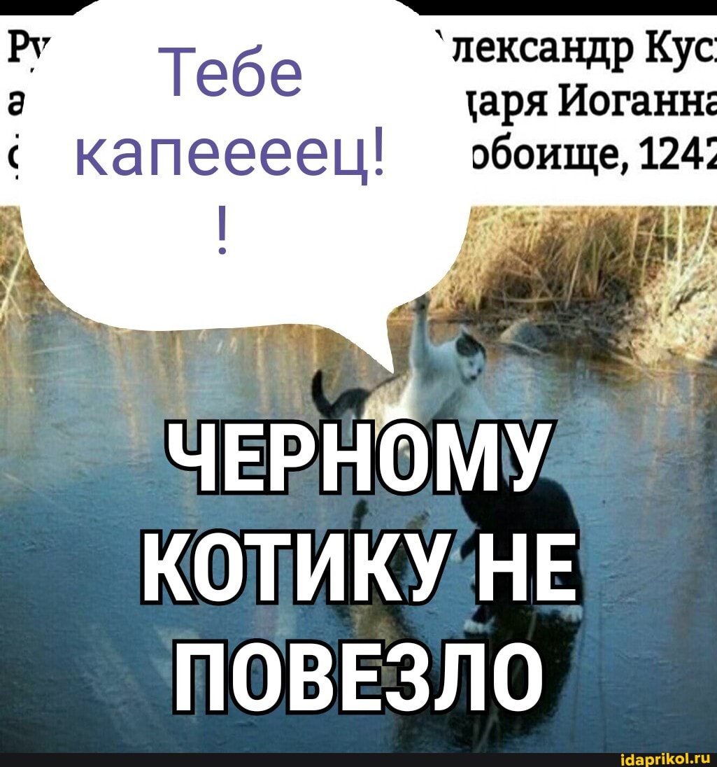 Ру Тебе `пександр Кус Иоганн:
Иоганн: капеееец! обоище, 124:
ЧЕРНОМУ
КОТИКУ НЕ ПОВЕЗЛО