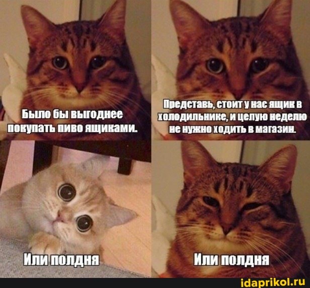 Поедставь. стоит у Нас ящик
ВЫГОДНЕВ яаподильнике. и целую неделю повупать пиво ящиками, НЕ НУЕНО
Или полдня ИлИ ПОЛДНЯ