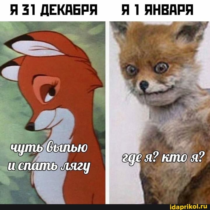 Я 31 ДЕКАБРЯ -Я 1 ЯНВАРЯ
чуть вылью
где я? кто я? и спать лягу