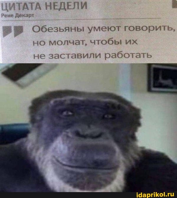 ГАТА НЕДЕЛИ
ене Декарт
Обезьяны умеют говорить, но молчат, чтобы их
не заставили работать