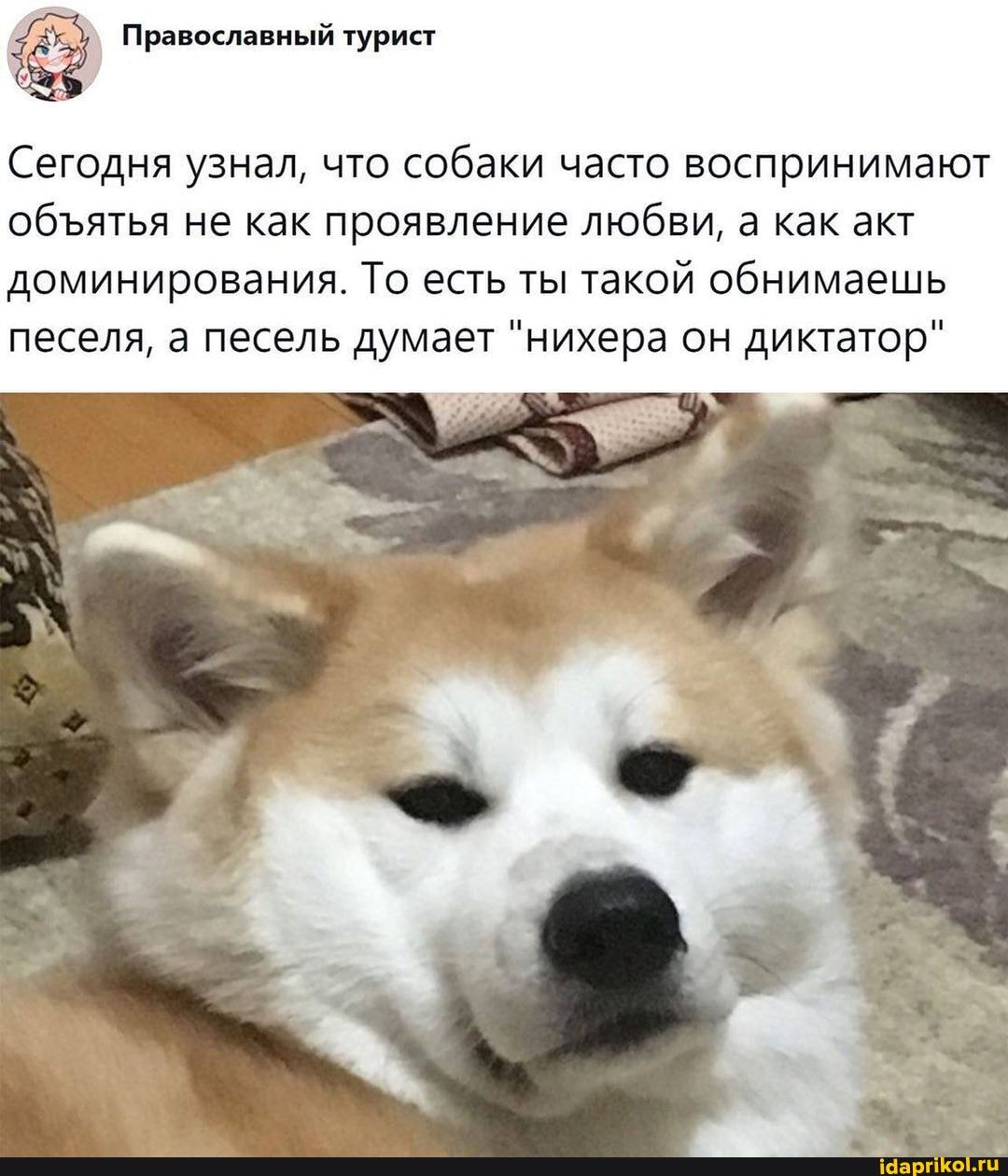 Православный турист
Сегодня узнал, что собаки часто воспринимают обятья не как проявление любви, а как акт доминирования. То есть ты такой обнимаешь песеля, а песель думает "нихера он диктатор"