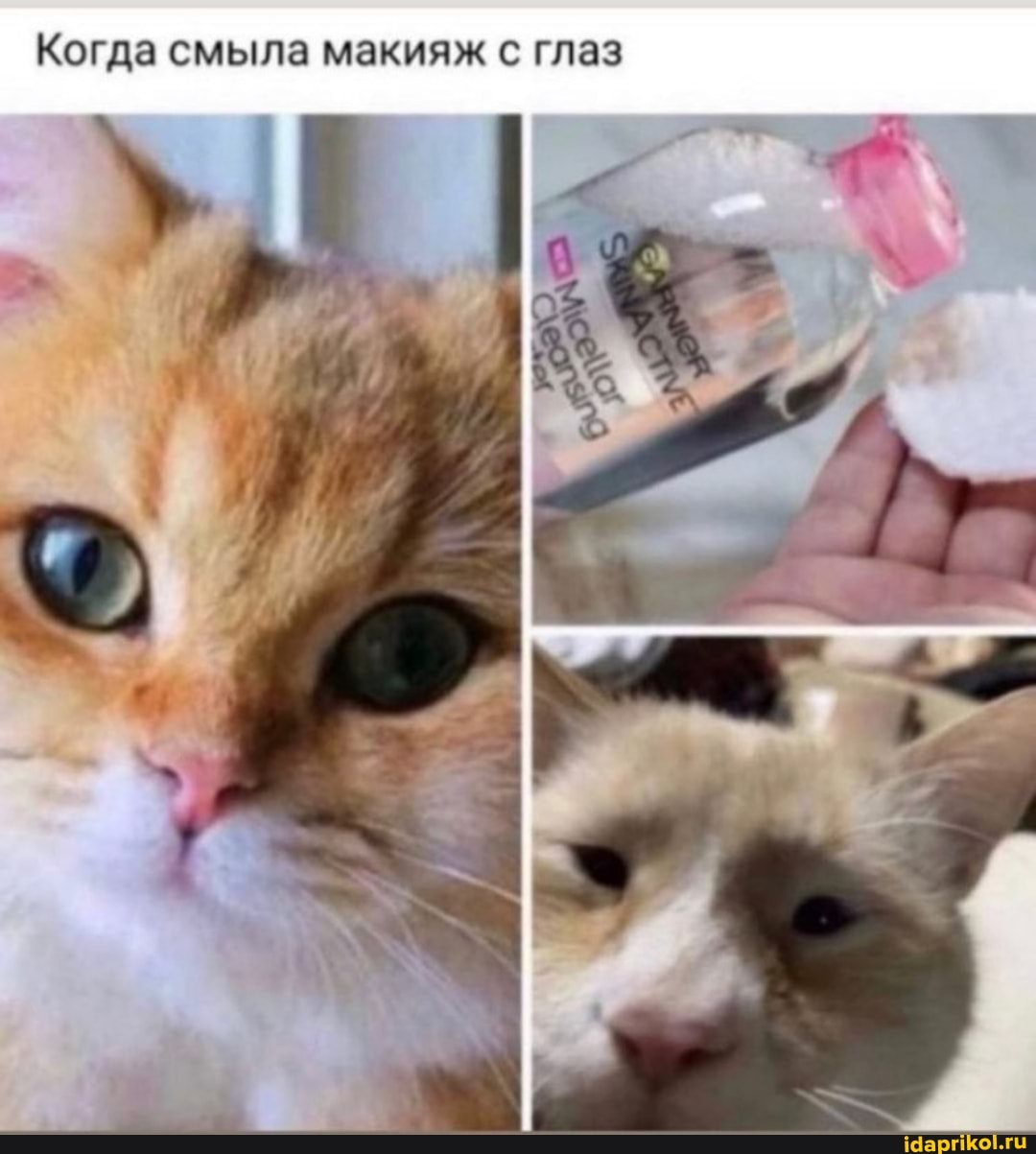 Когда смыла макияж с глаз