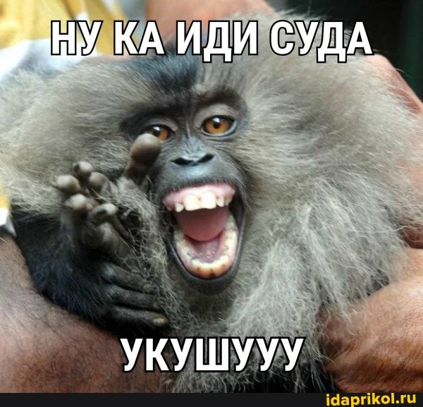 НУ КА ИДИ СУДА
УКУШУУУ