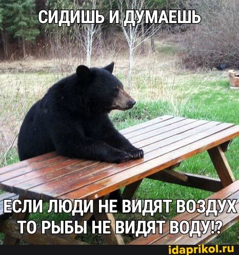 СИДИШЬ И ДУМАЕШЬ
ЕСЛИ ЛЮДИ НЕ ВИДЯТ ВОЗДУХ ТО РЫБЫ НЕ ВИДЯТ ВОДУ!?