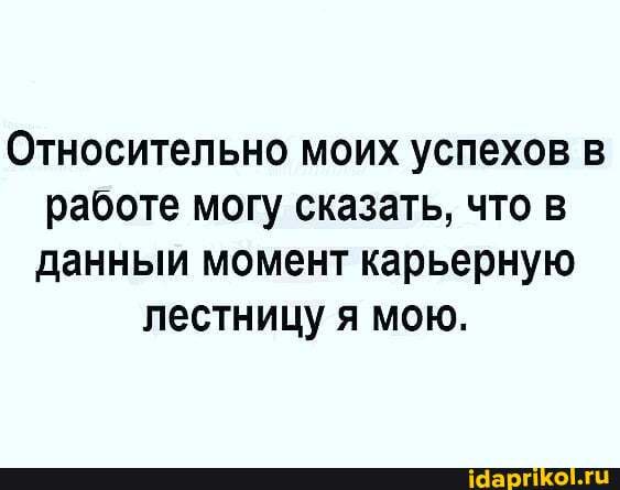 Относительно моих успехов в работе могу сказать, что в данныи момент карьерную лестницу я мою.