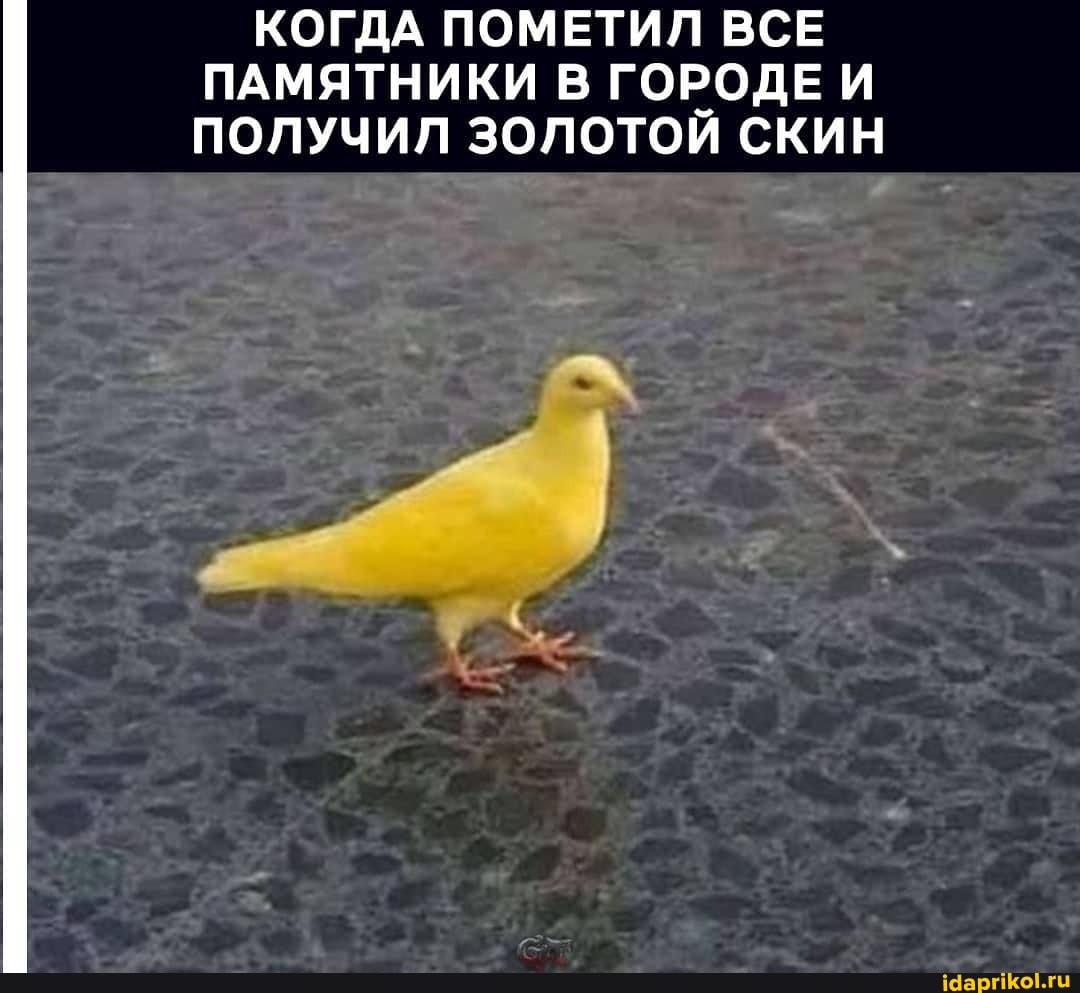 КОГДА ПОМЕТИЛ ВСЕ ПАМЯТНИКИ В ГОРОДЕ И ПОЛУЧИЛ ЗОЛОТОЙ СКИН