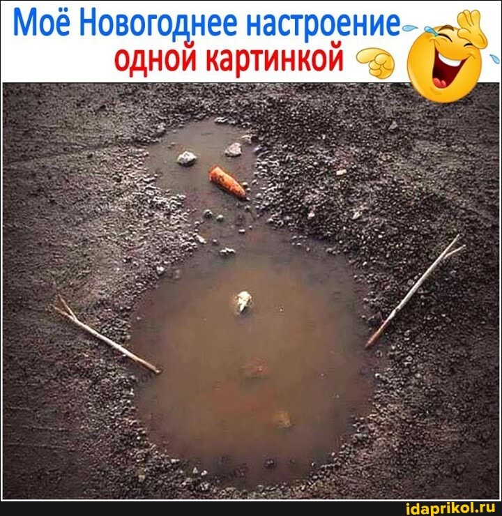 Моё Новогоднее настроение одной картинкой