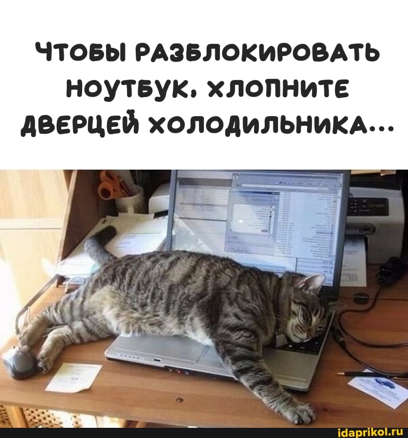 ЧТОБЫ РАЗБЛОКИРОВАТЬ НОУТБУК, ХЛОПНИТЕ ДВЕРЦЕЙ ХОЛОДИЛЬНИКА...
