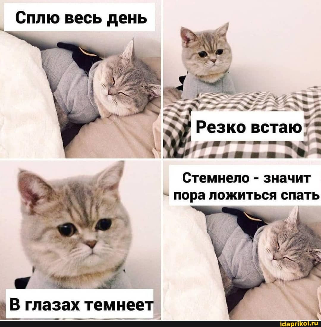 В глазах темнеет
Сплю весь день
Резко встаю
Стемнело - значит
` пора ложиться спать