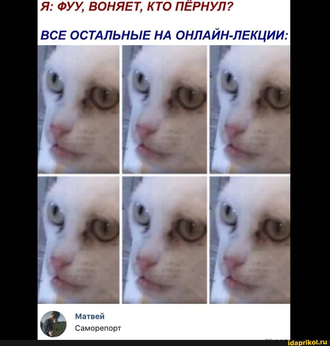 Я: ФУУ, ВОНЯЕТ, КТО ПЕРНУЛ?
ВСЕ ОСТАЛЬНЫЕ НА ОНЛАЙН-ЛЕКЦИИ:
Матвей
Саморепорт