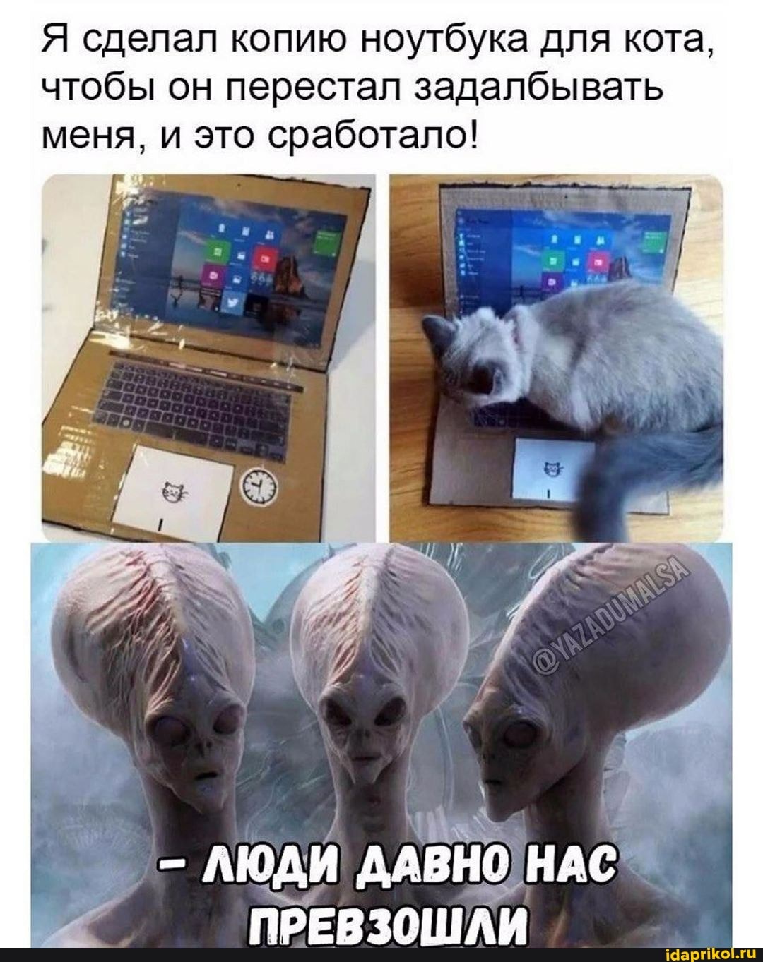 Я сделал копию ноутбука для кота, чтобы он перестал задалбывать меня, и это сработало!
ЛЮДИ ДАВНО) НАС ПРЕВЗОШЛИ