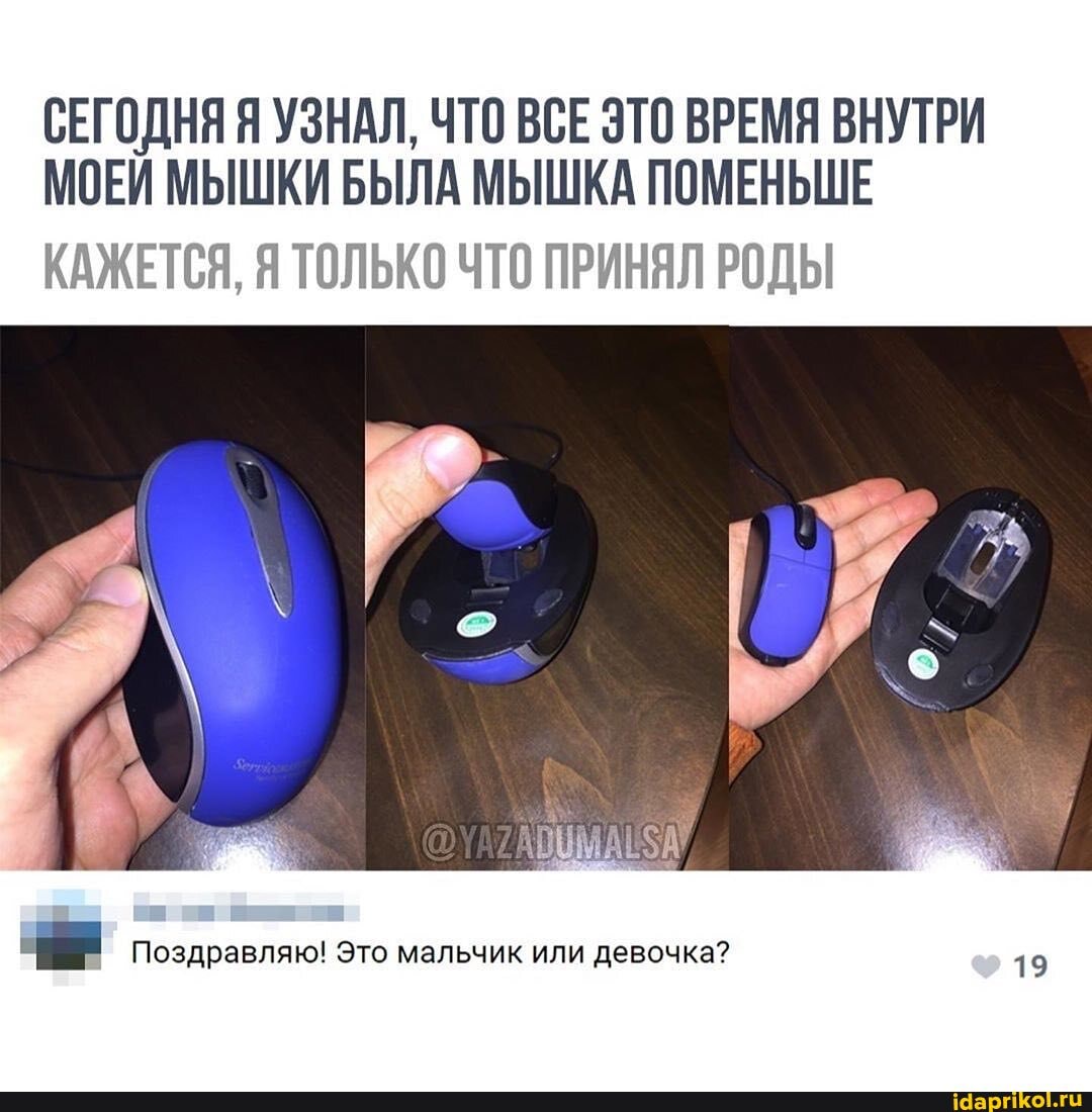 СЕГОДНЯ Я УЗНАЛ, ЧТО ВСЕ ЭТО ВРЕМЯ ВНУТРИ МОЕЙ МЫШКИ БЫЛА МЫШКА ПОМЕНЬШЕ
КАЖЕТСЯ, Я ТОЛЬКО ЧТО ПРИНЯЛ РОДЫ
Поздравляю! Это мальчик или девочка? 19