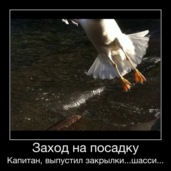 Заход на посадку
Капитан, выпустил закрылки...шасси... - Заход на посадку
Капитан, выпустил закрылки...шасси...