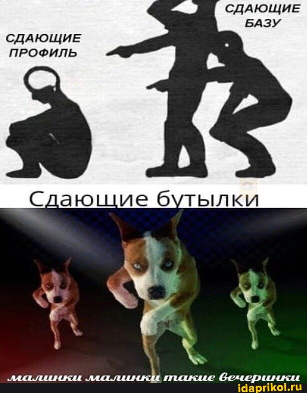 СДАЮЩИЕ
БАЗУ
СДАЮЩИЕ
ПРОФИЛЬ