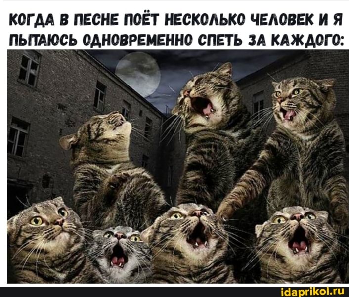 КОГДА В ПЕСНЕ ПОЁТ НЕСКОЛЬКО ЧЕЛОВЕК И Я ПЬТАЮСЬ ОДНОВРЕМЕННО СПЕТЬ ЗА КАЖДОГО: