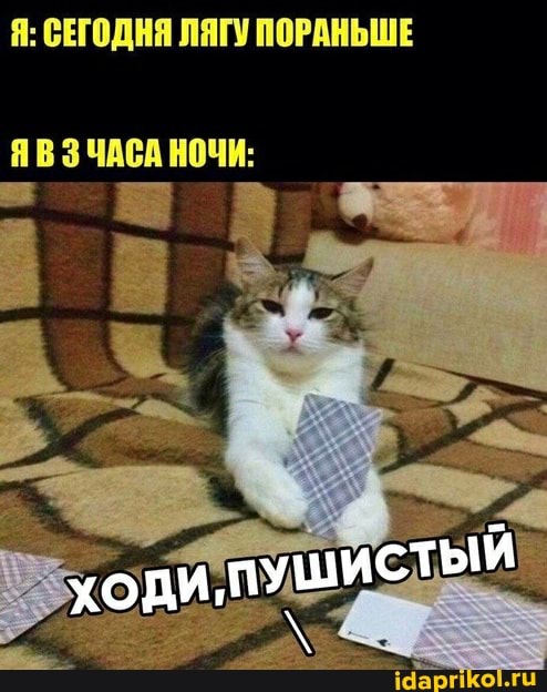 Я: СЕГОДНЯ ЛЯГУ ПОРАНЬШЕ
ЯВ З ЧАСА НОЧИ: