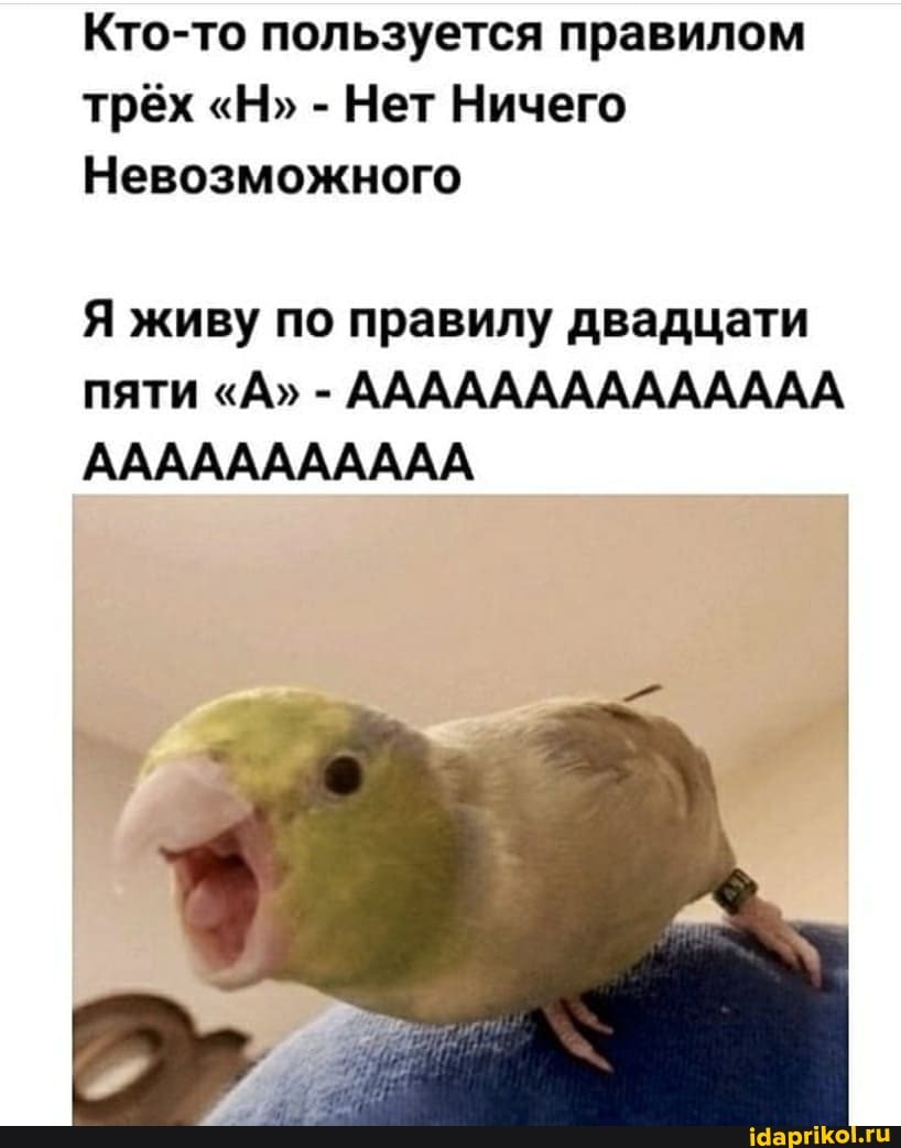Кто-то пользуется правилом трёх "Н" - Нет Ничего
Невозможного
Я живу по правилу двадцати пяти "А" - АААААААААААААА