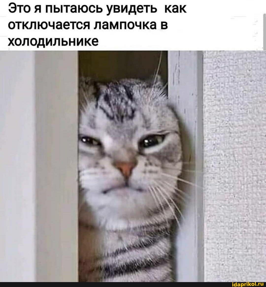 Это я пытаюсь увидеть как отключается лампочка в холодильнике