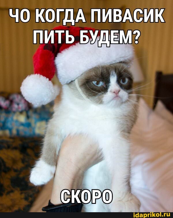 КОГДА ПИВАСИК ПИТЬ БУДЕМ?
СКОРО
