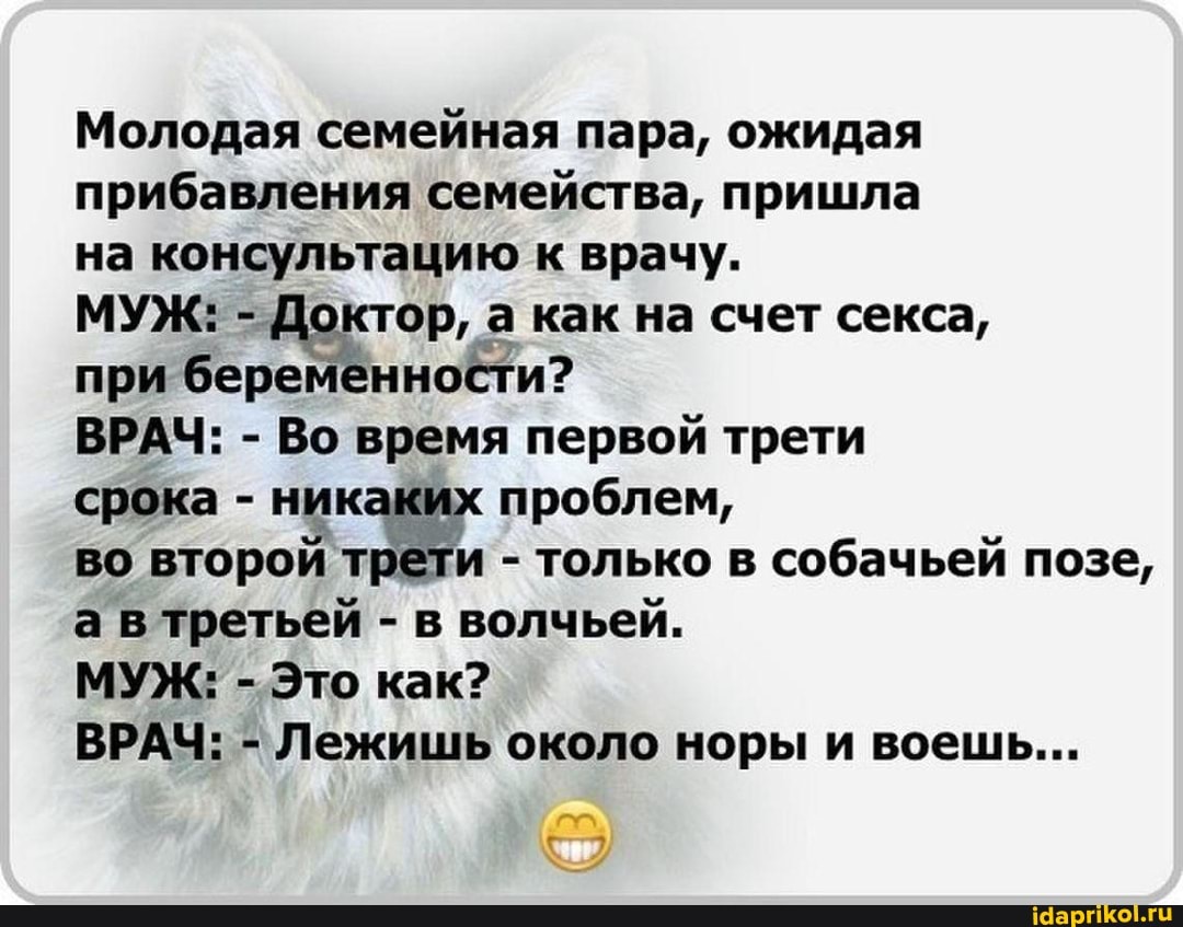 Молодая семейная пара, ожидая прибавления семейства, пришла
на консультацию к врачу.
МУЖ: - Доктор, а как на счет секса, при беременности?
ВРАЧ: - Во время первой трети
срока - никаких проблем,
во второй трёти - только в собачьей позе, а в третьей - в волчьей.
МУЖ: - Это как?
ВРАЧ: - Лежишь около норы и воешь...