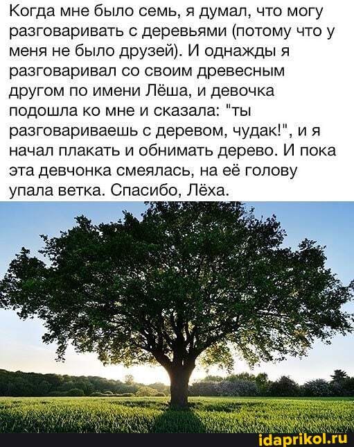 Когда мне было семь, я думал, что могу разговаривать с деревьями (потому что у меня не было друзей). И однажды я разговаривал со своим древесным другом по имени Лёша, и девочка подошла ко мне и сказала: "ты разговариваешь с деревом. чудак!", ия начал плакать и обнимать дерево. И пока эта девчонка смеялась. на её голову упала ветка. Спасибо, Лёха.