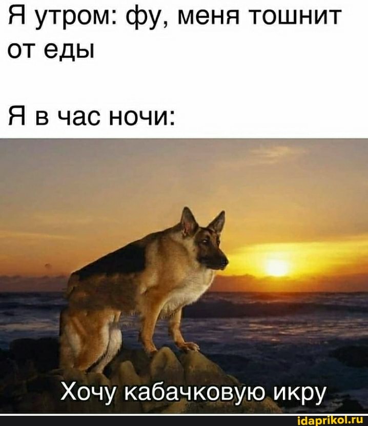 Я утром: фу, меня тошнит от еды
Я в час ночи:
Хочу кабачковую. икру