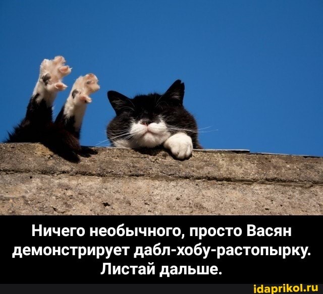 Ничего необычного, просто Васян демонстрирует дабл-хобу-растопырку.
Листай дальше. - Ничего необычного, просто Васян демонстрирует дабл-хобу-растопырку. Листай дальше.