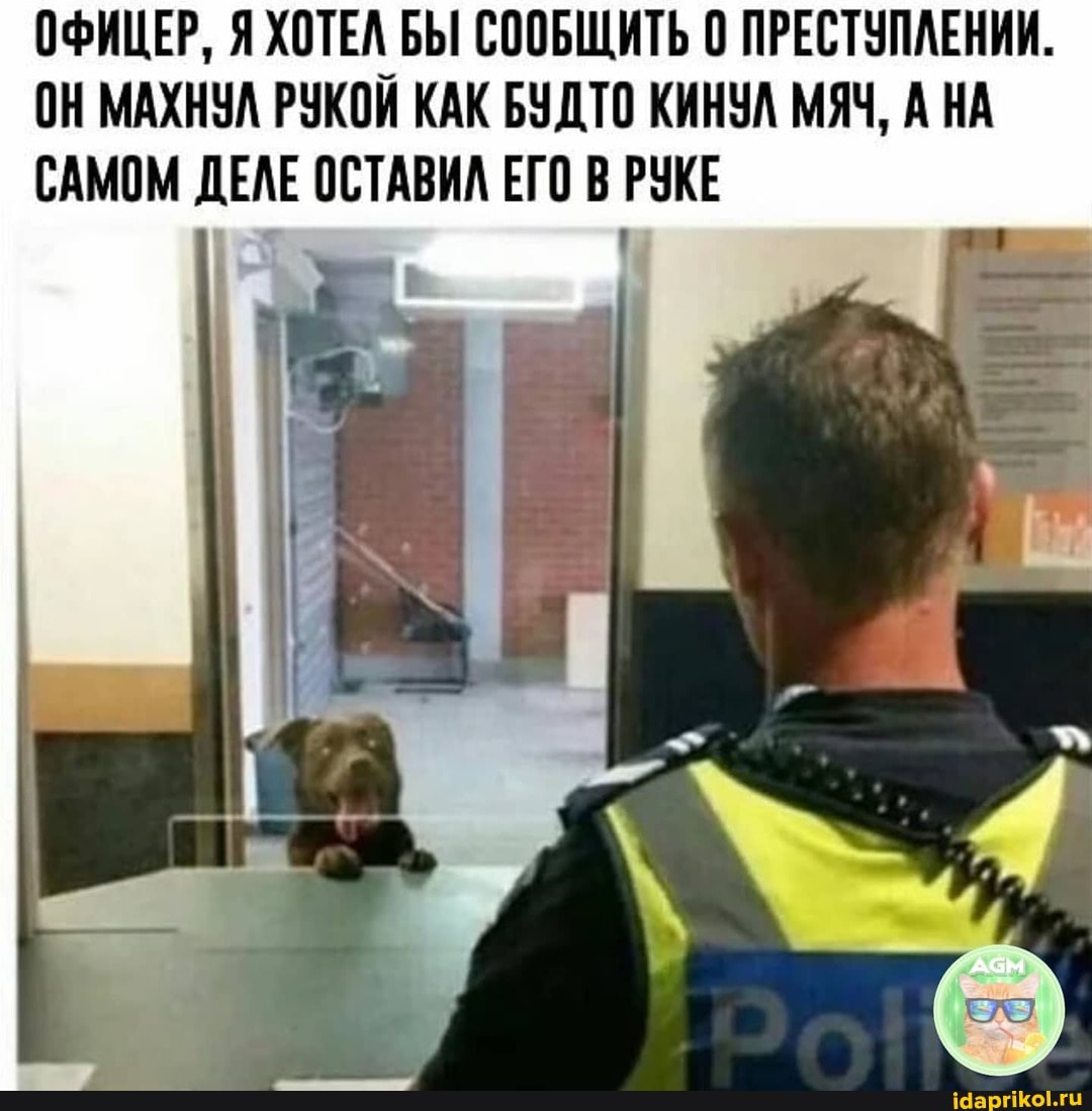 ОФИЦЕР, Я ХОТЕЛ БЫ СООБЩИТЬ 0 ПРЕСТУПЛЕНИИ.
ОН МАХНУЛ РУКОЙ КАК БУДТО КИНУЛ МЯЧ, А НА САМОМ ДЕЛЕ ОСТАВИЛ ЕГО В РУКЕ