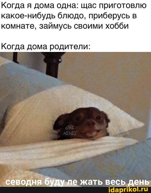 Когда я дома одна: щас приготовлю какое-нибудь блюдо, приберусь в комнате, займусь своими хобби
Когда дома родители:
