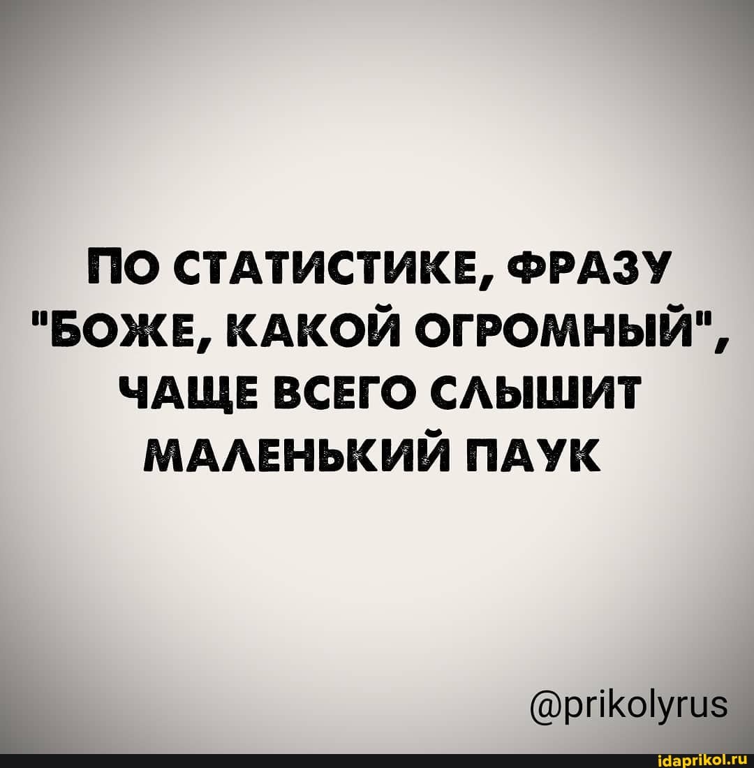ПО СТАТИСТИКЕ, ФРАЗУ
"БОЖЕ, КАКОЙ ОГРОМНЫЙ",
ЧАЩЕ ВСЕГО СЛЫШИТ МАЛЕНЬКИЙ ПАУК